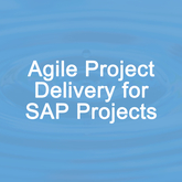 Agile Project Delivery