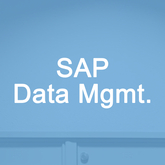 SAP Data Management Overview