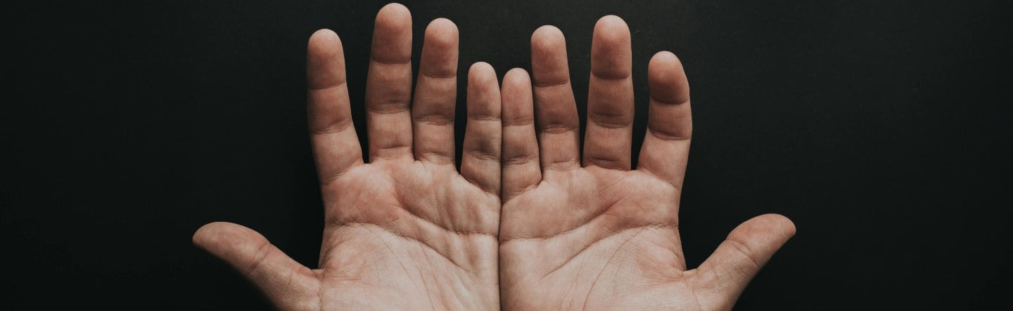 What Is OpenHands?
