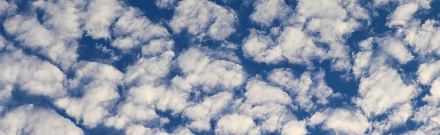 What Is SAP Fiori Cloud?
